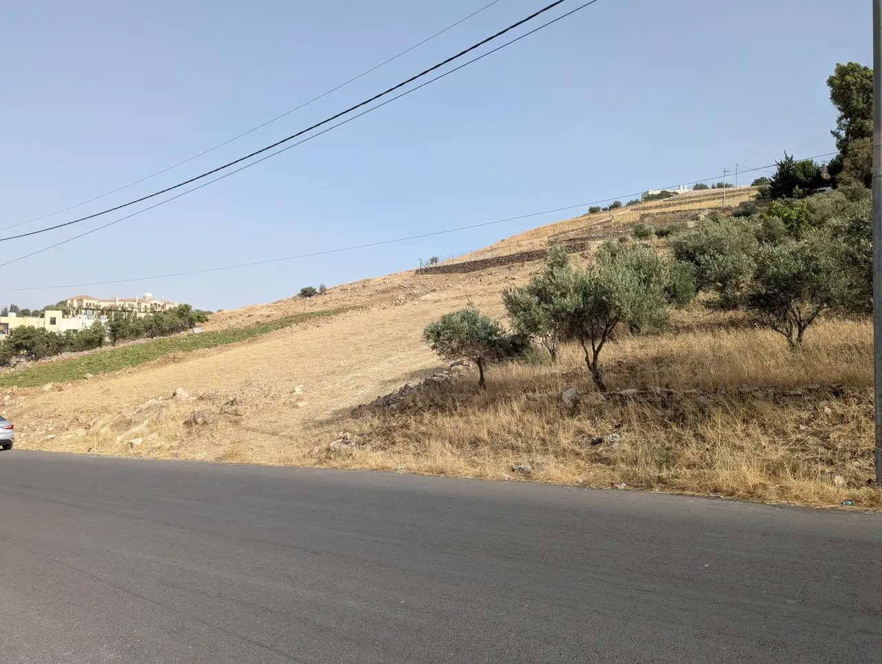 Land for sale in Shafa Al-Amriya – photo 3