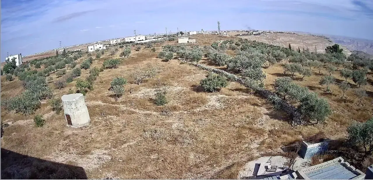 Olive farm of 60 dunams in Al-Mazar Al-Janoubi, Al Karak, offered for lease