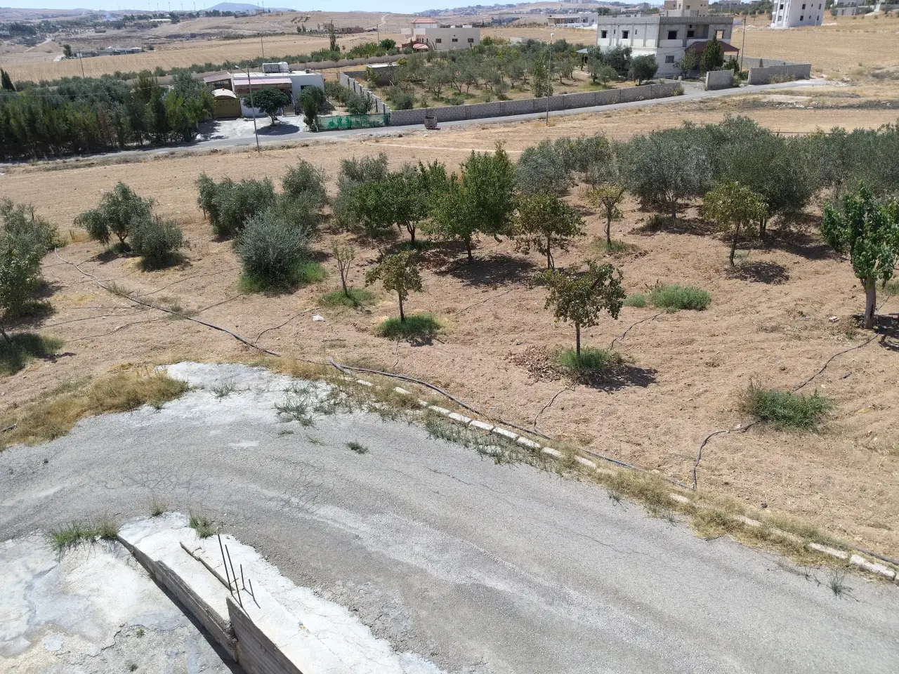 Villa for sale in Al-Ayes – photo 9