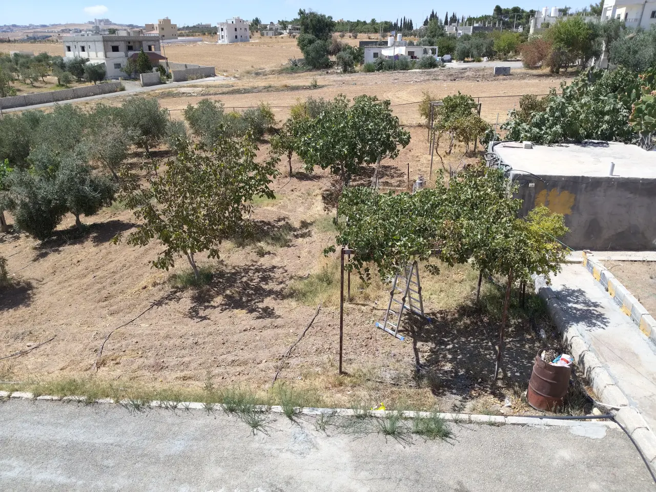 Villa for sale in Al-Ayes – photo 5