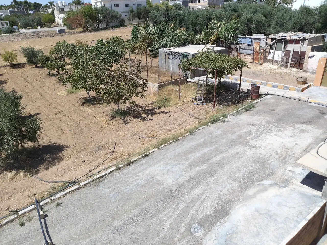 Villa for sale in Al-Ayes – photo 12