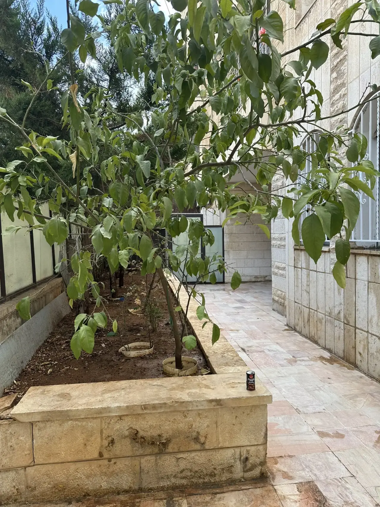 Apartment for sale in Jabal Al Hussain – photo 4