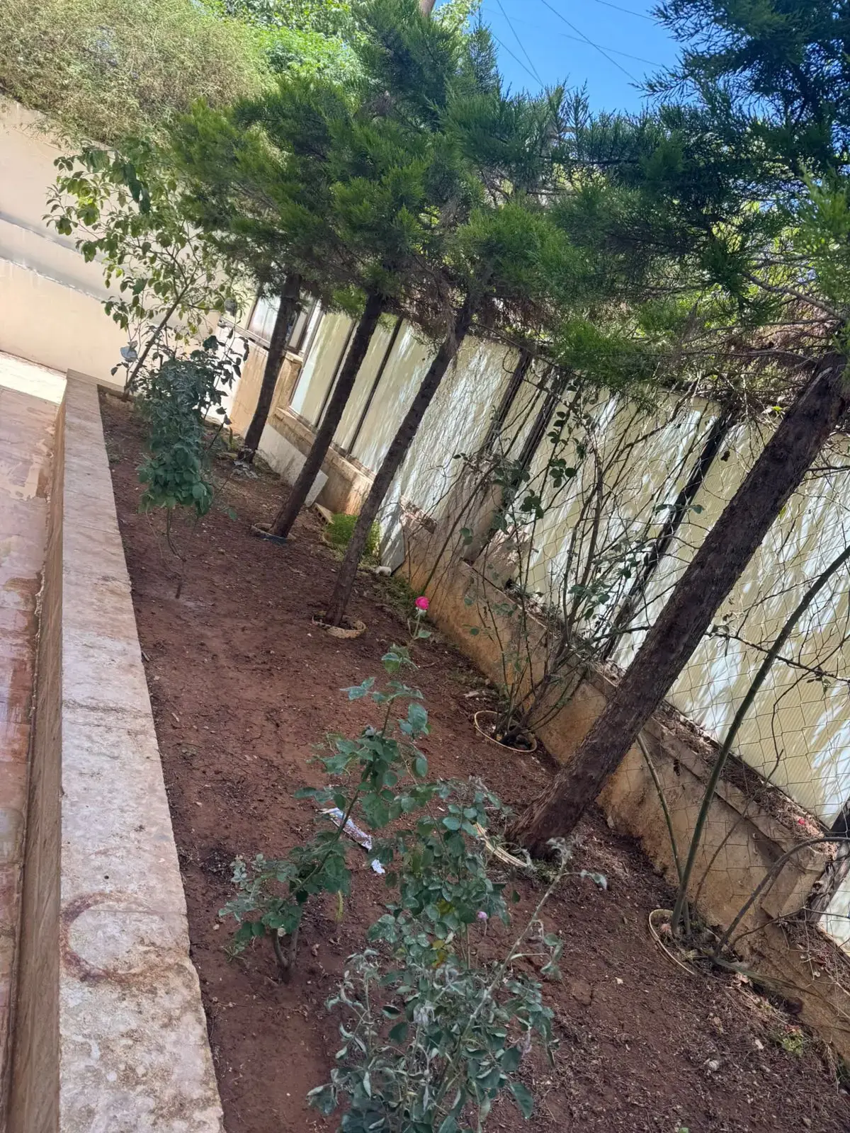 Apartment for sale in Jabal Al Hussain – photo 5