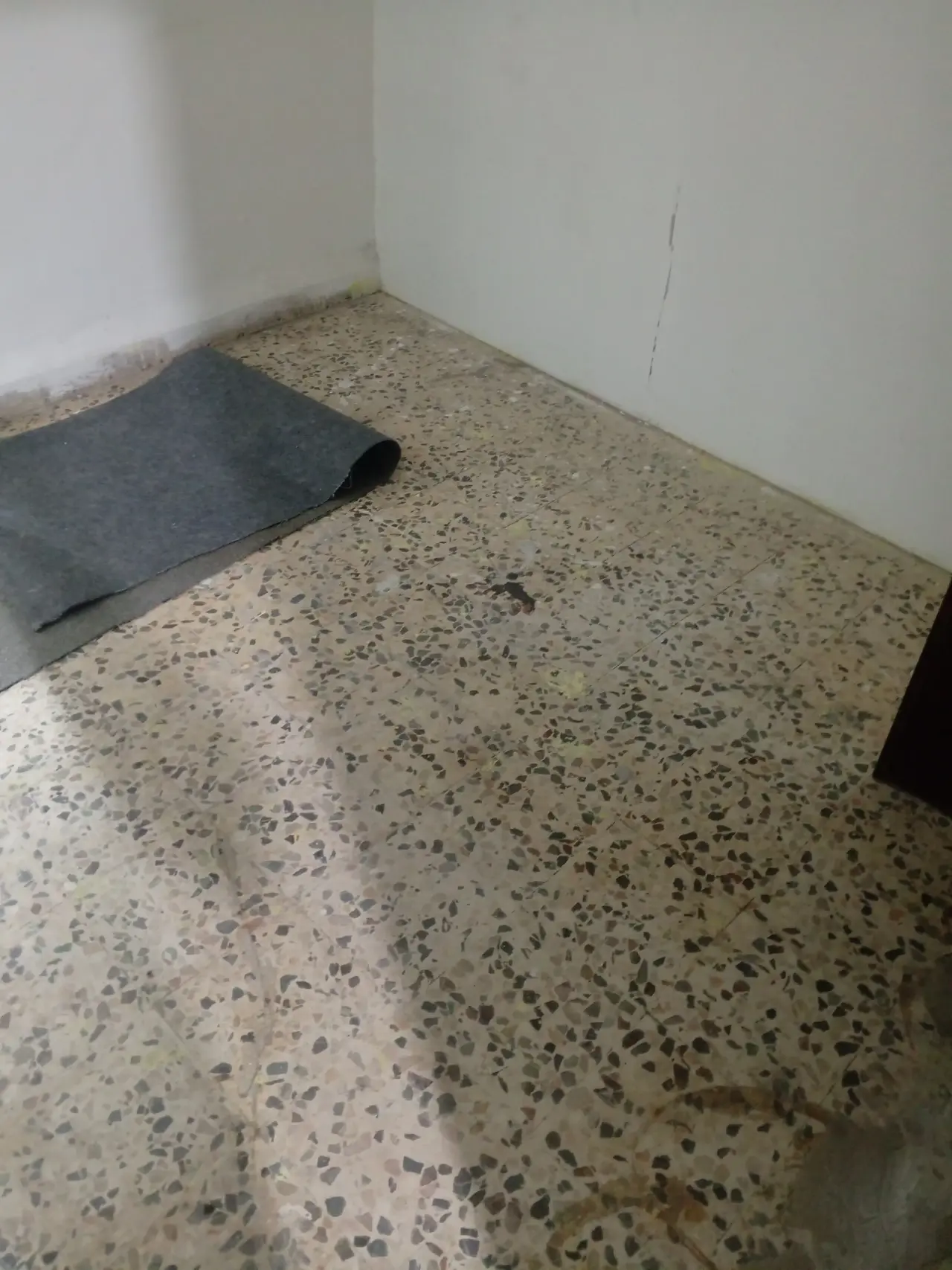 Apartment for rent in Jabal AL Naser – photo 3