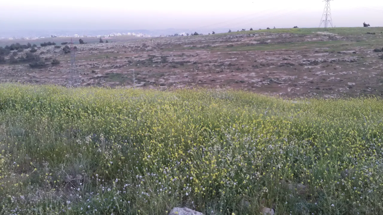 Al Mukaymin basin, Shafa Badran: 608 m² plot on two streets