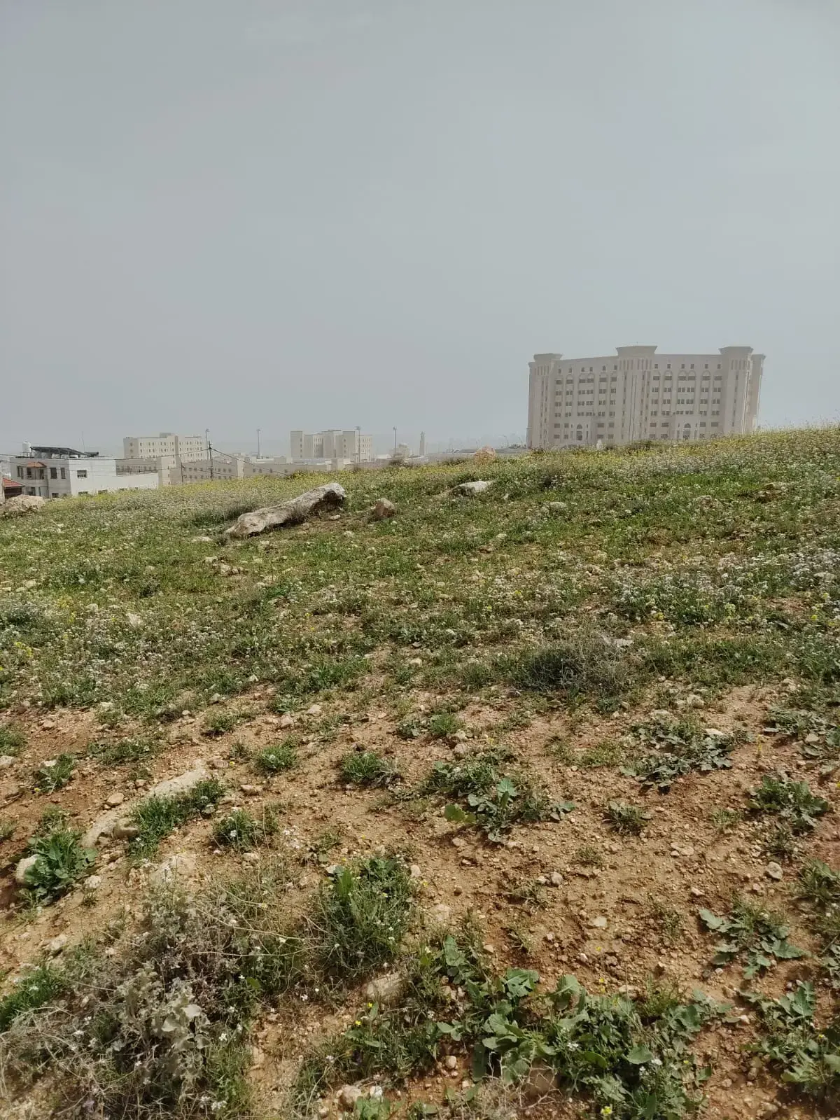 Land for sale in Shafa Badran – photo 7