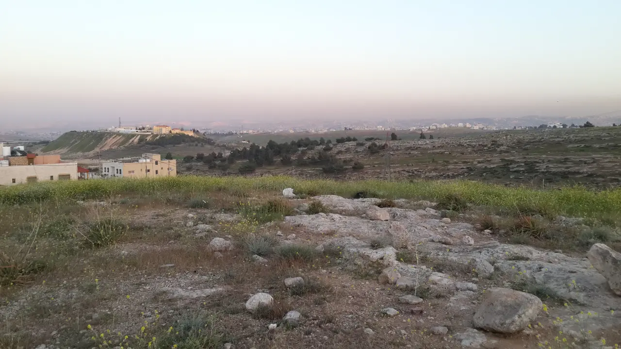 Land for sale in Shafa Badran – photo 5