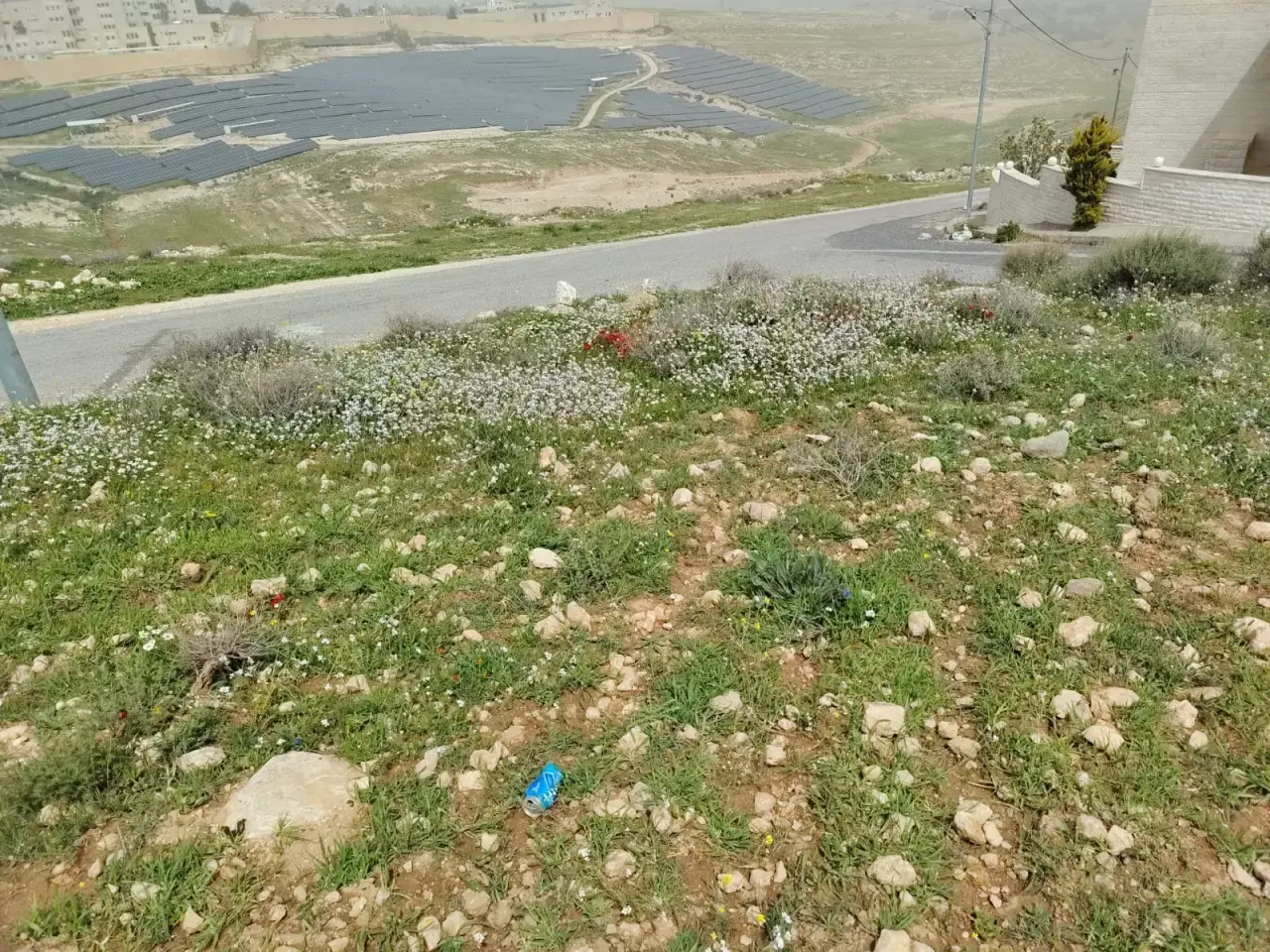 Land for sale in Shafa Badran – photo 6