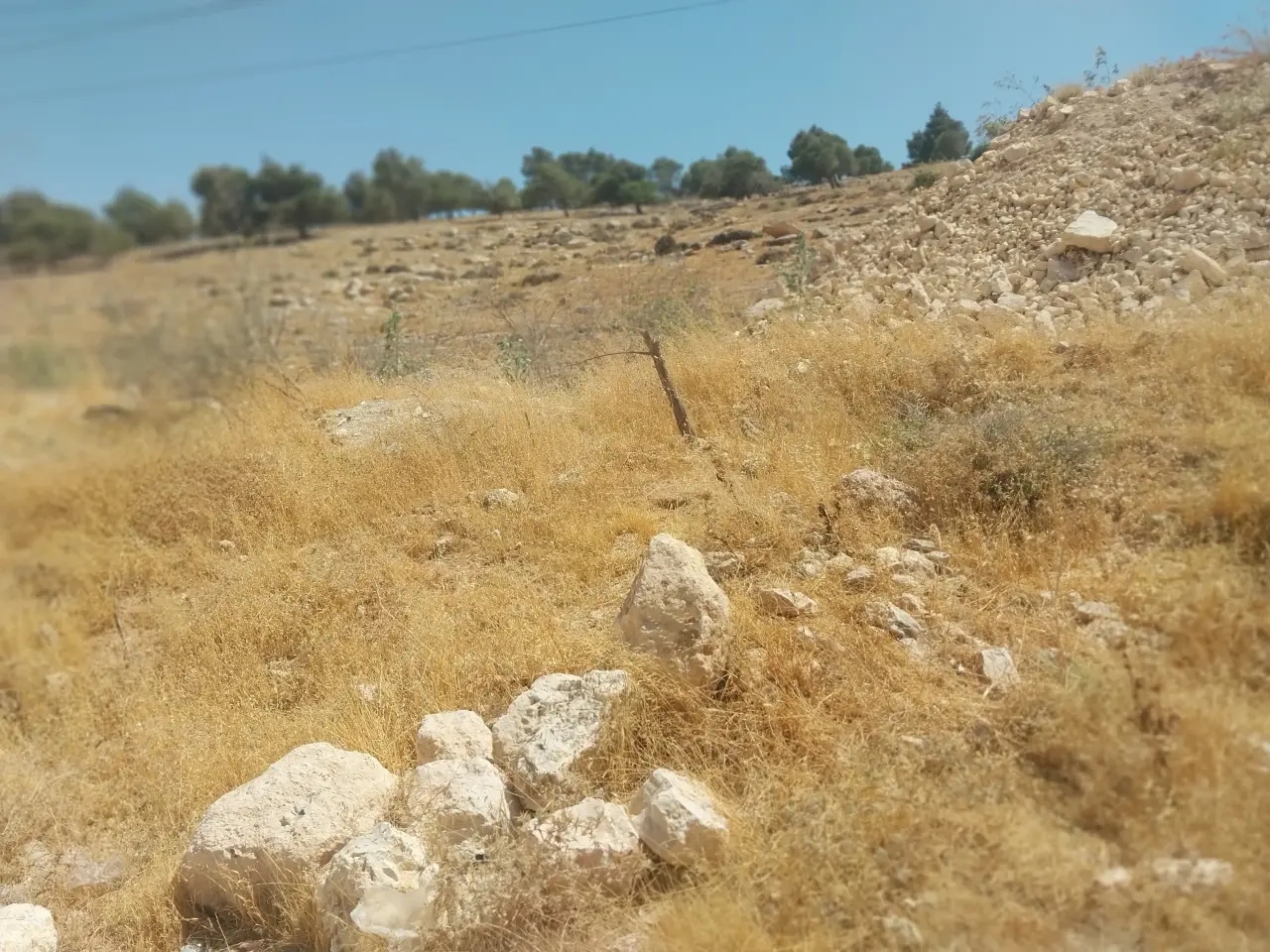 تصلح لفيلا، أرض 1063 م² خلف القيادة العامة في شفا بدران