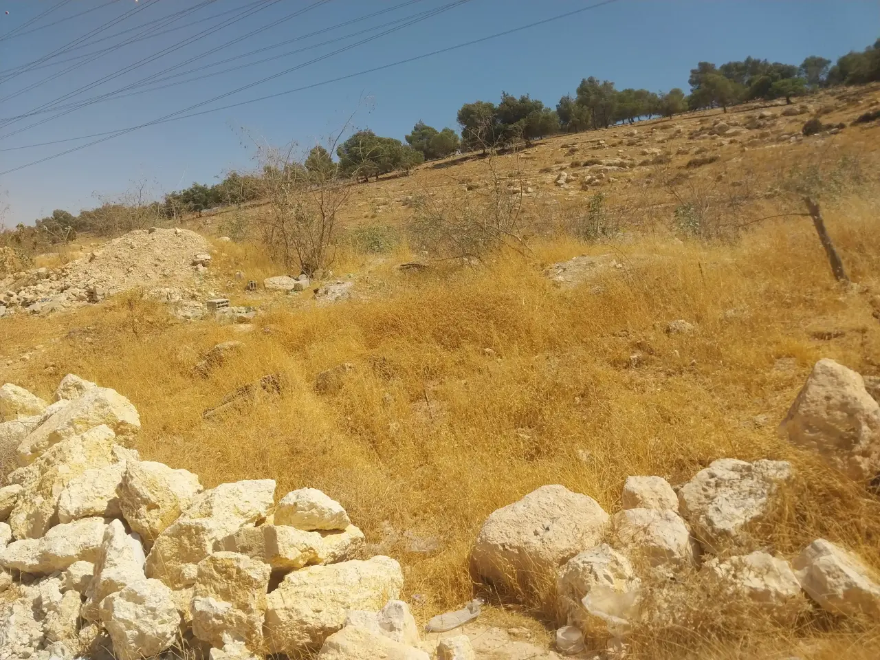 أرض للبيع في شفا بدران – صورة 4