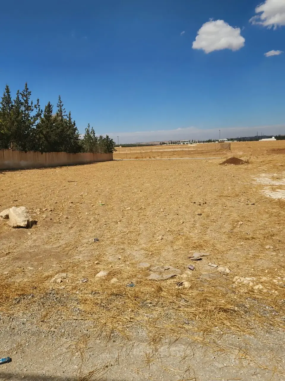 Land for sale in Al-Qastal – photo 2