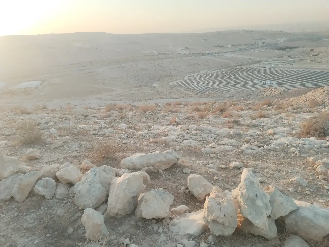Land for sale in Almih St – photo 3