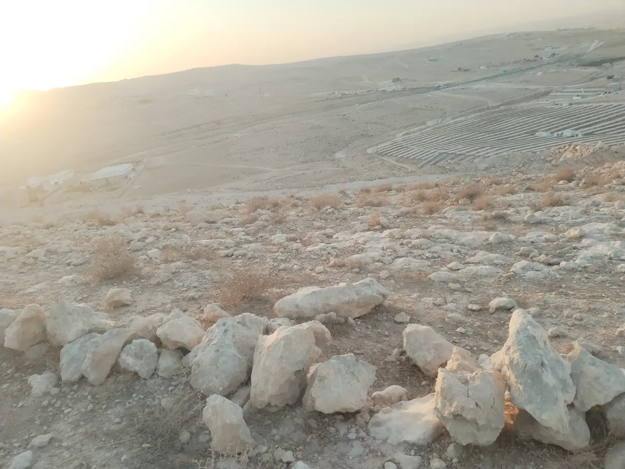 Land for sale in Almih St – photo 2