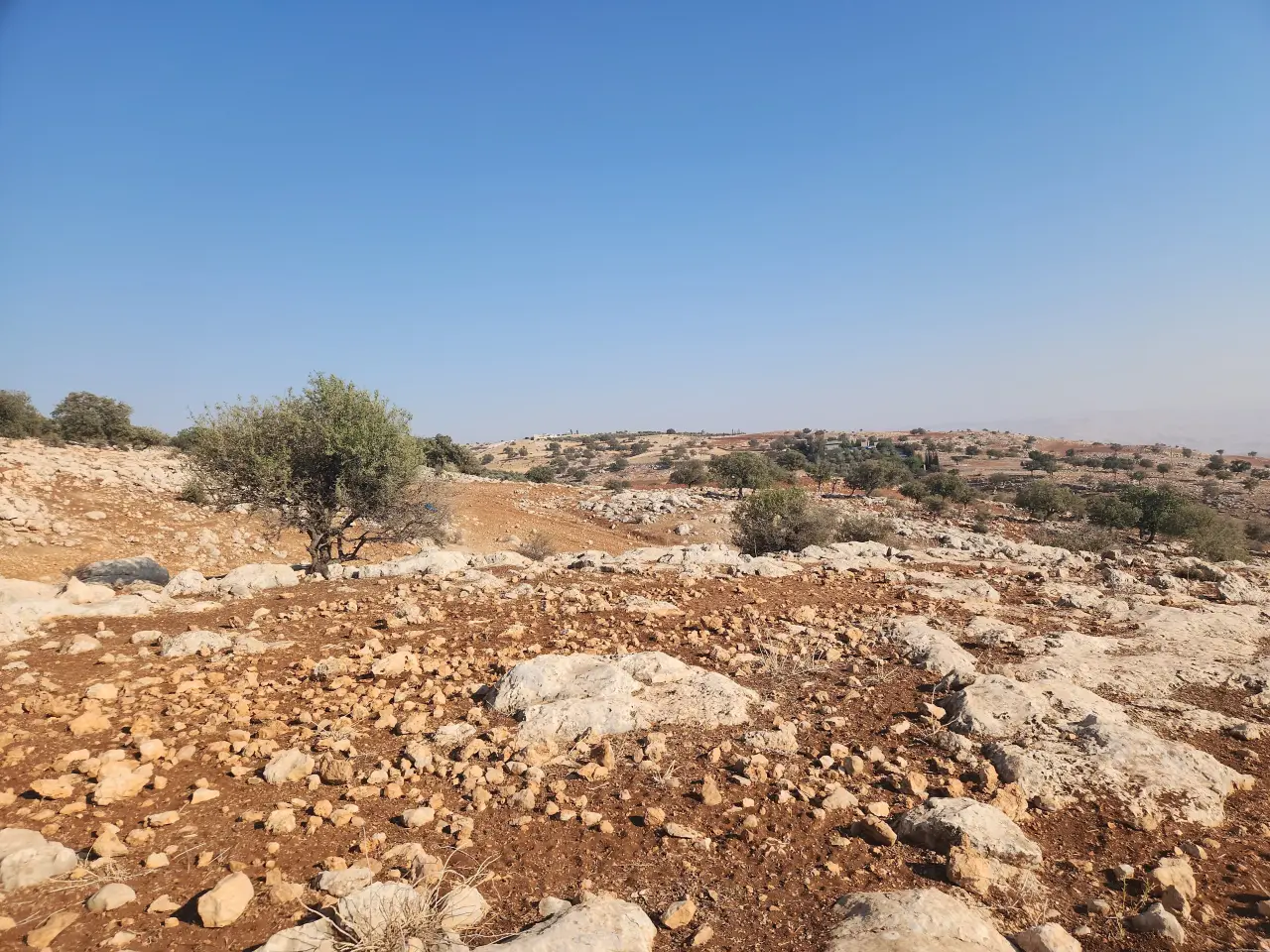 Land for sale in Bilal – photo 4