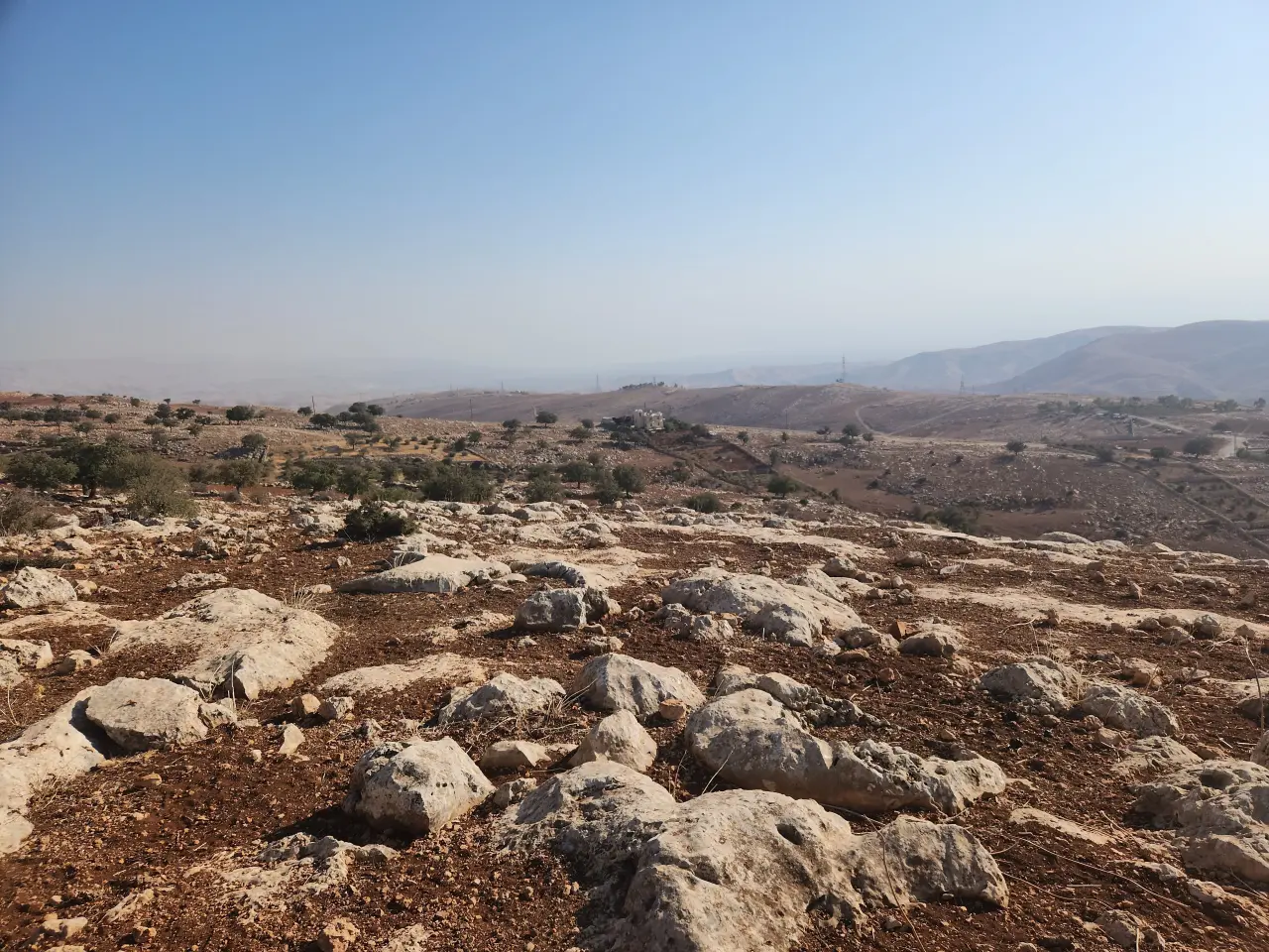 Land for sale in Bilal – photo 5