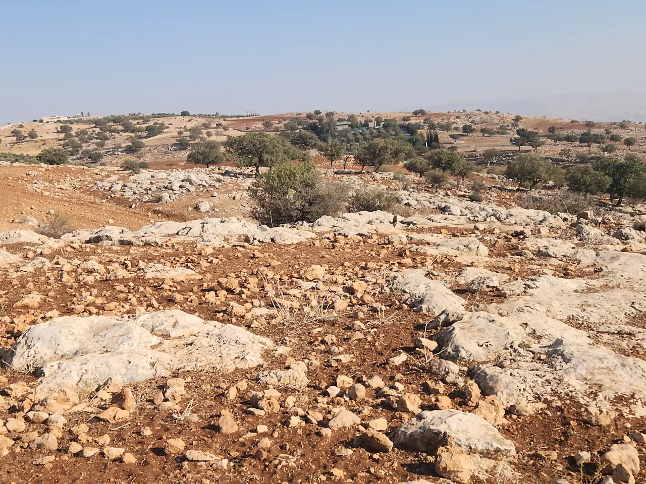 Land for sale in Bilal – photo 3