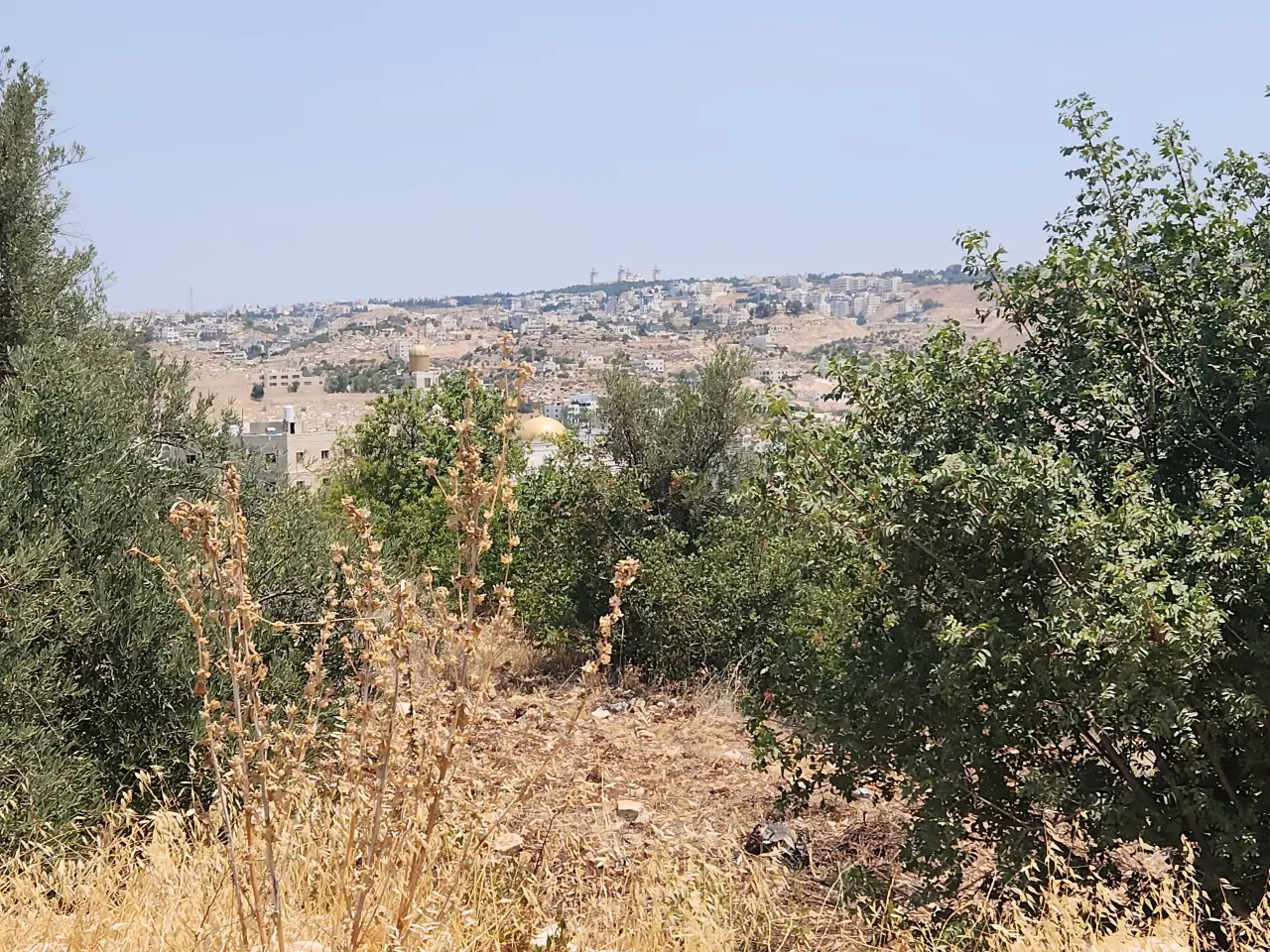 Land for sale in Bilal – photo 7