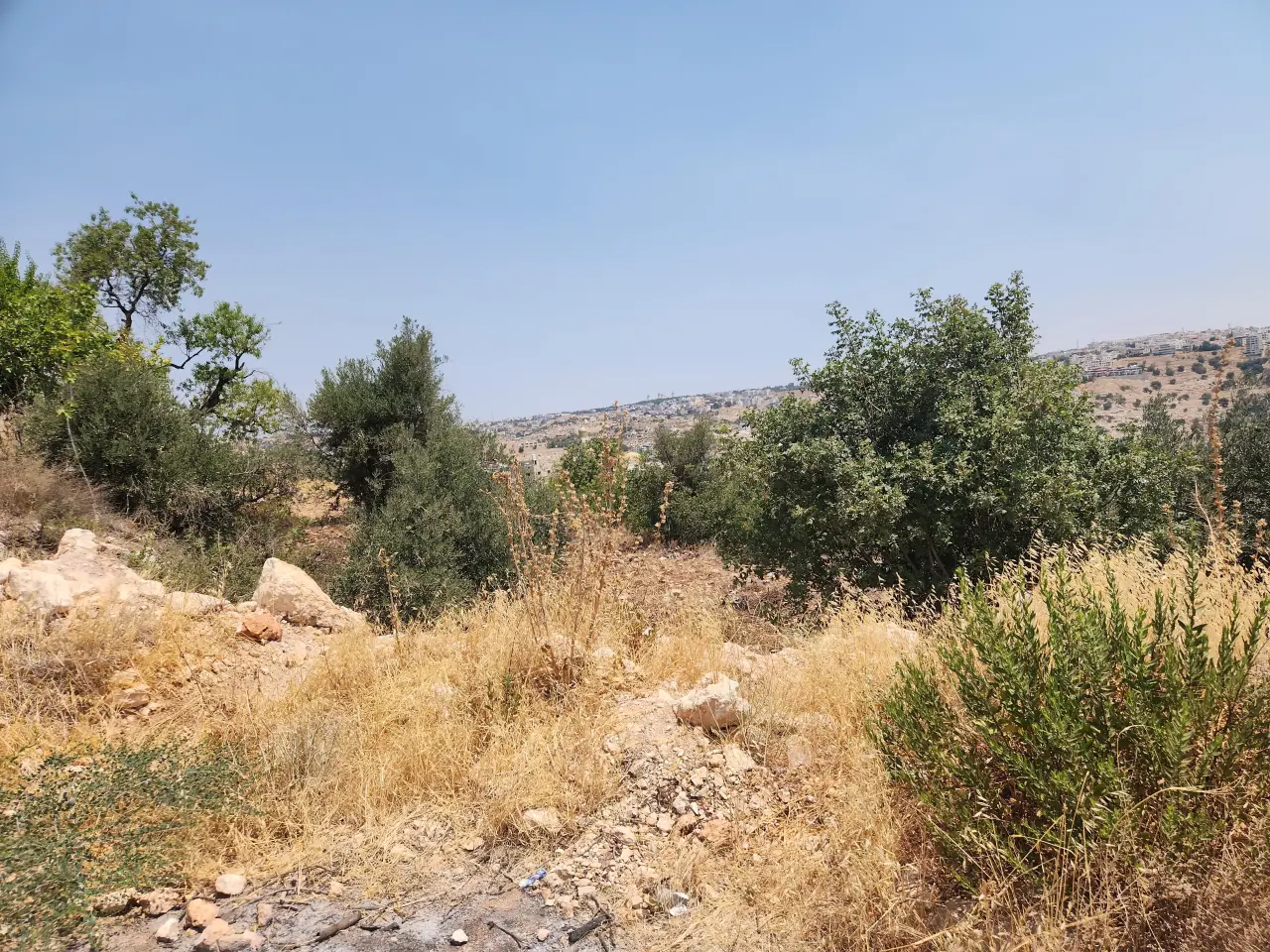 Land for sale in Bilal – photo 8