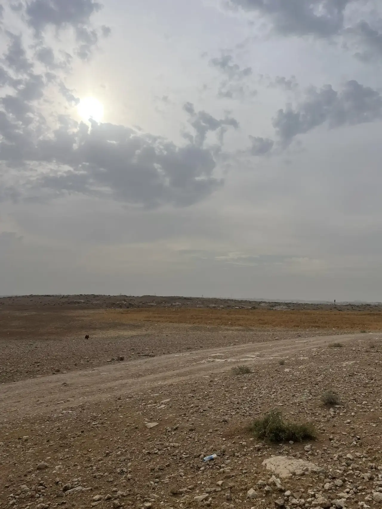 أرض للبيع في الموقر – صورة 6