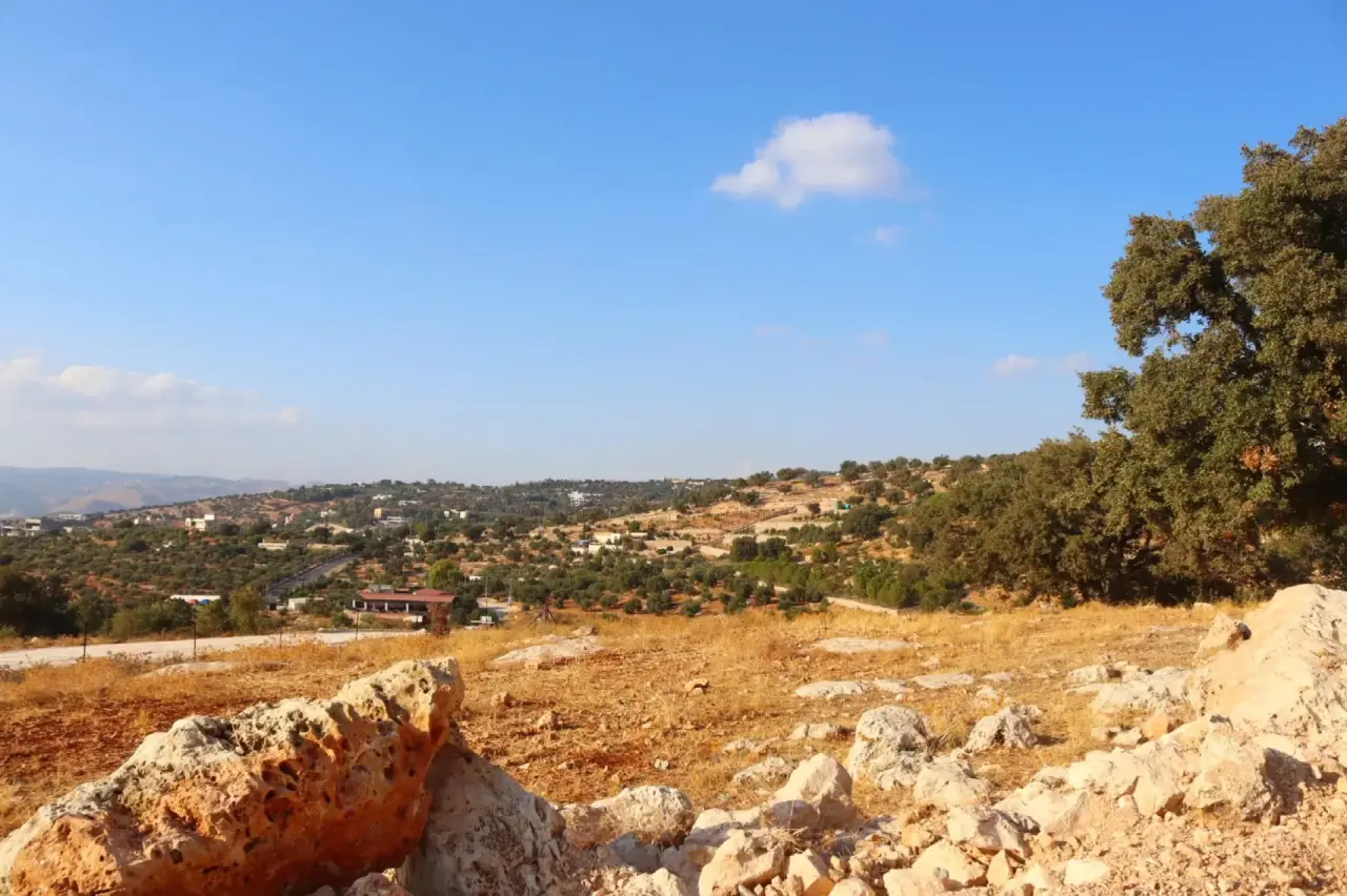 Land for sale in Bader Al Jadedeh – photo 12