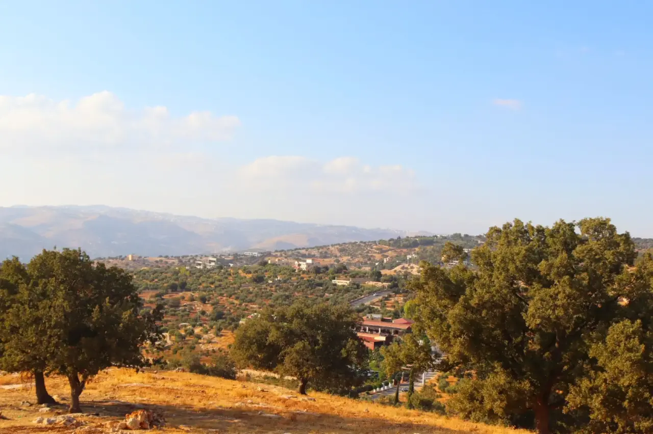 Land for sale in Bader Al Jadedeh – photo 14