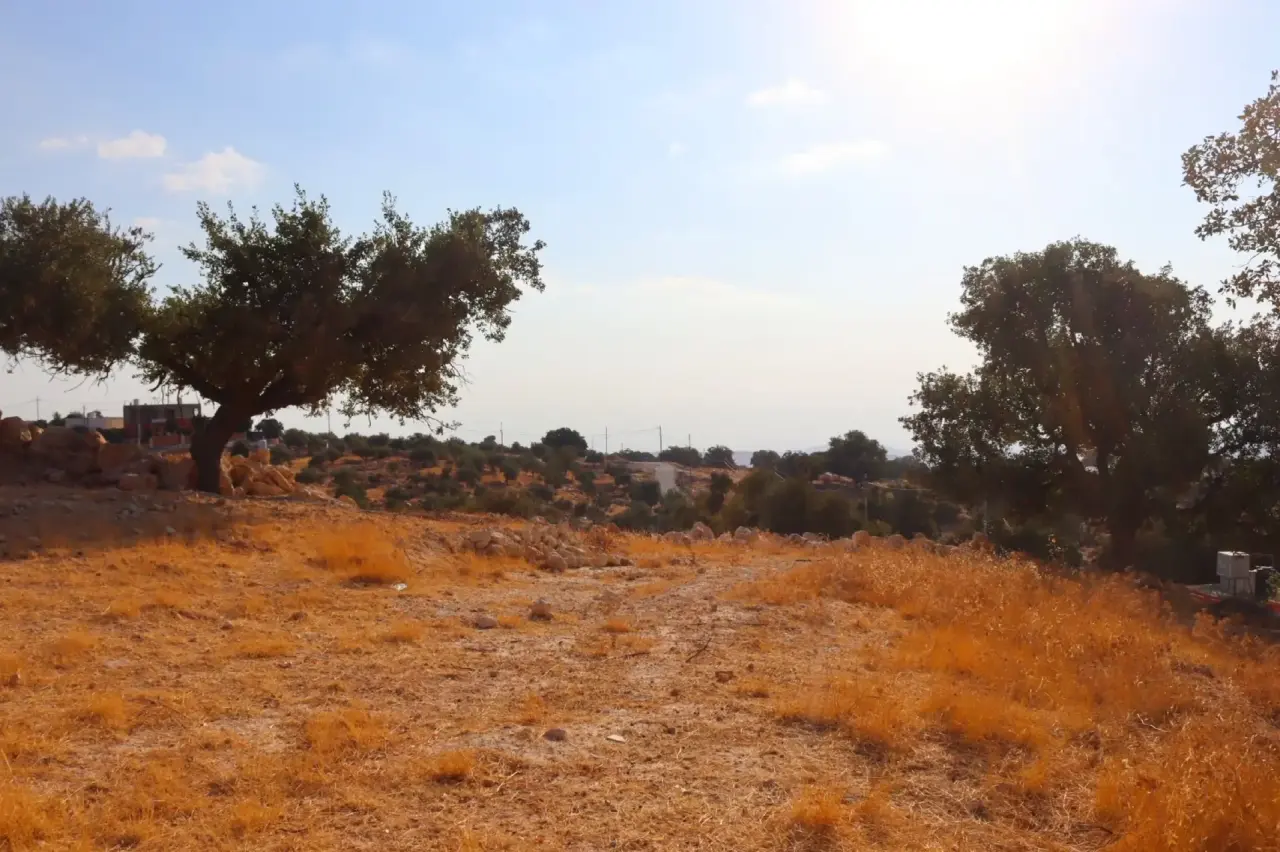 Land for sale in Bader Al Jadedeh – photo 10