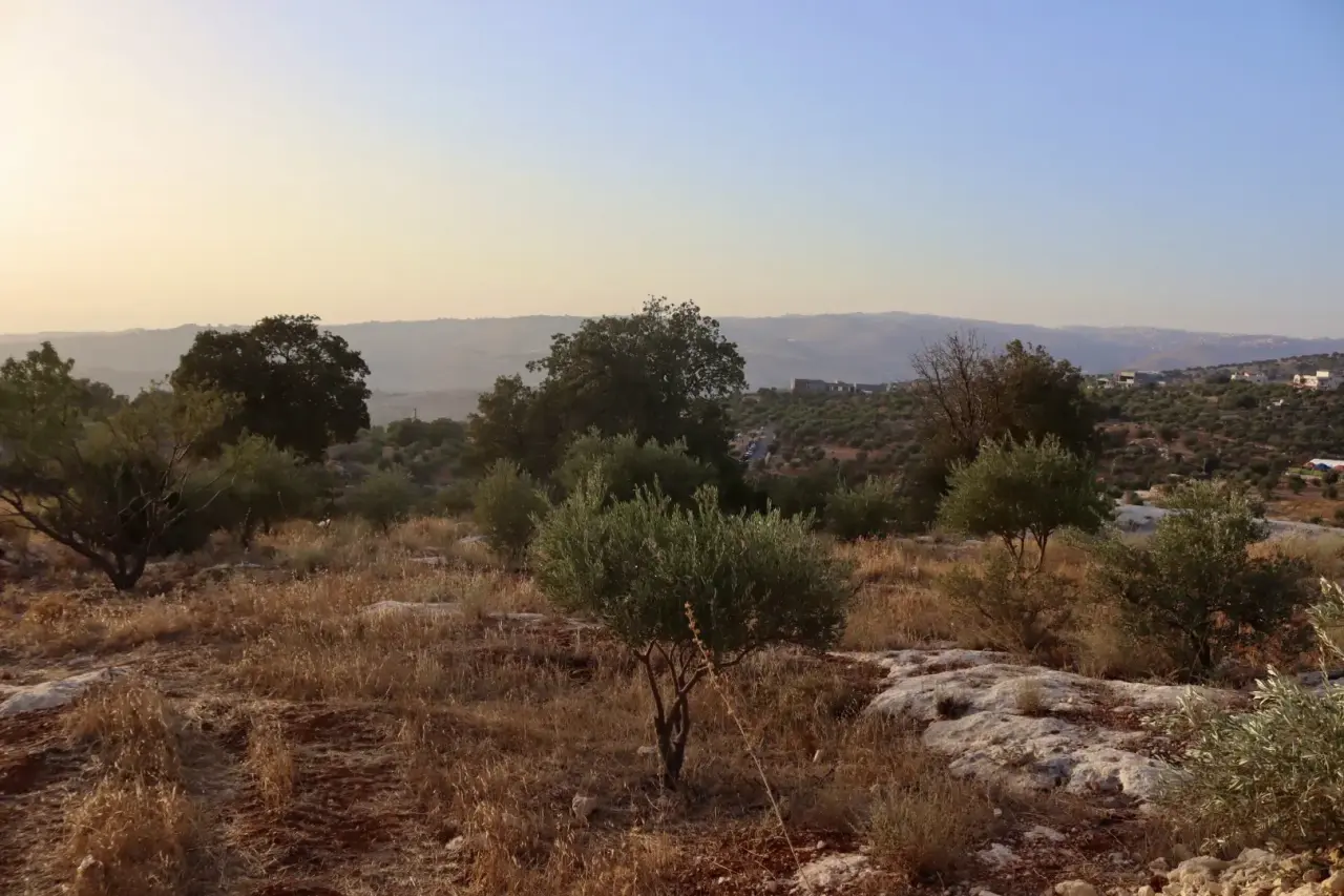 Land for sale in Bader Al Jadedeh – photo 7