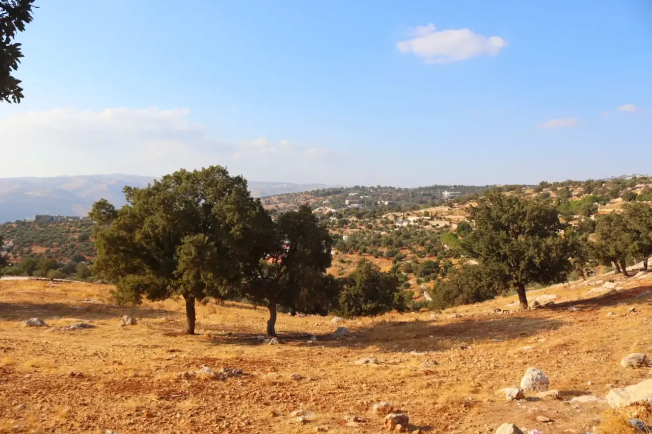 Land for sale in Bader Al Jadedeh – photo 2