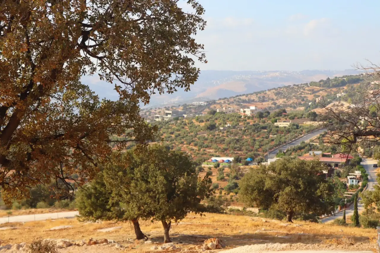 Land for sale in Bader Al Jadedeh – photo 9