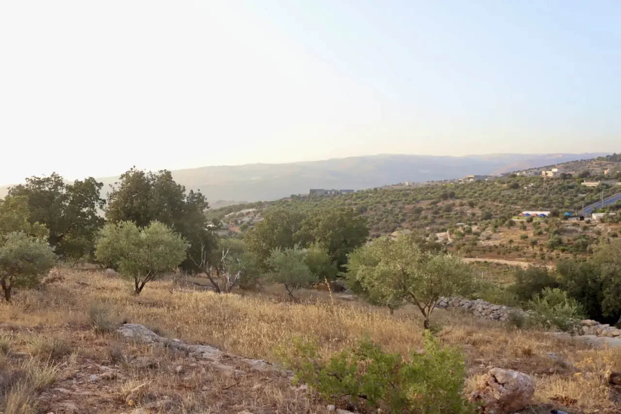 Land for sale in Bader Al Jadedeh – photo 8