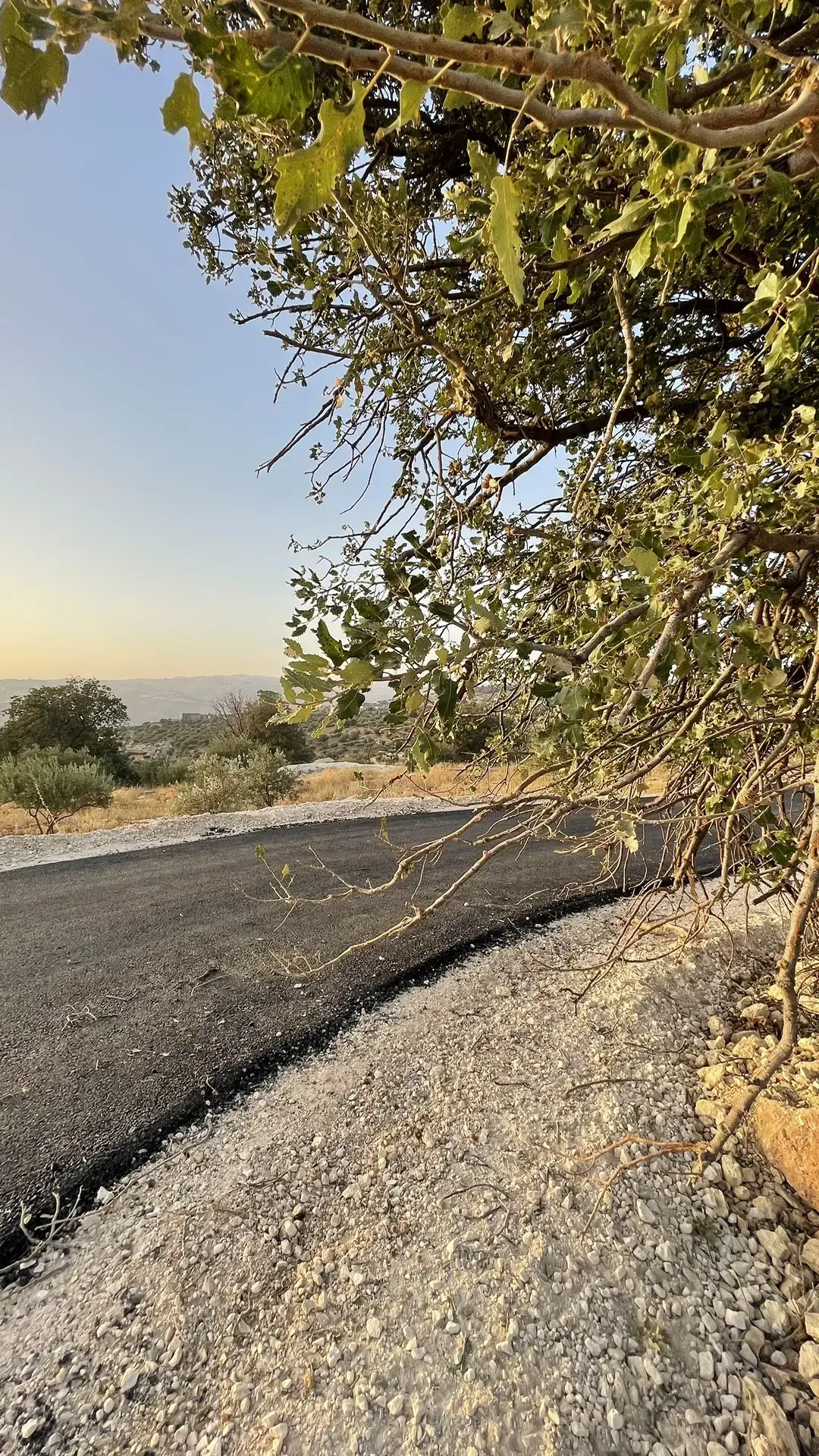 Land for sale in Bader Al Jadedeh – photo 20