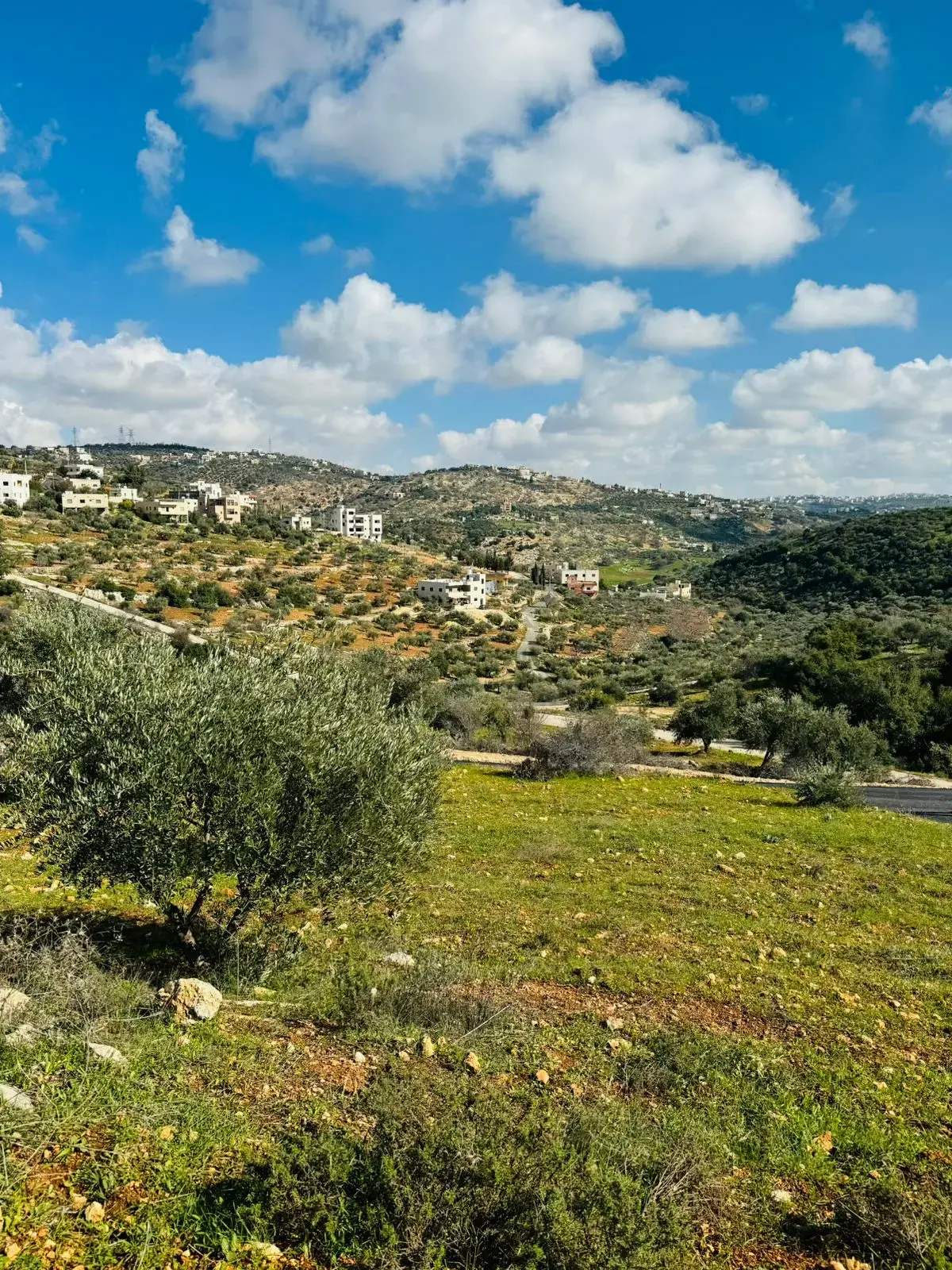 أرض للبيع في بدر  الجديدة – صورة 2