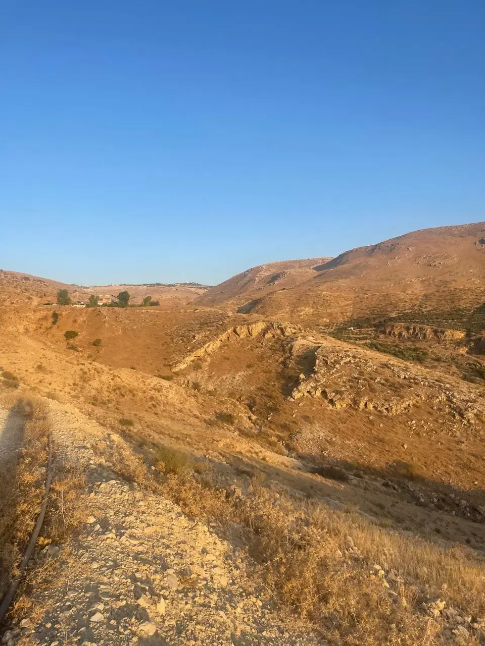 Land for sale in Bader Al Jadedeh – photo 7
