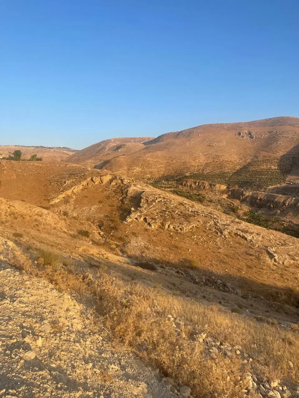 Land for sale in Bader Al Jadedeh – photo 6
