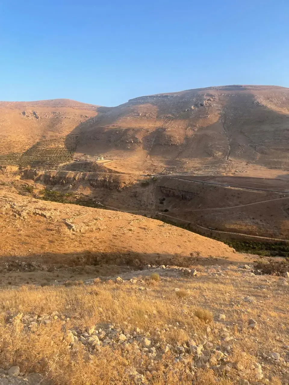 Land for sale in Bader Al Jadedeh – photo 8