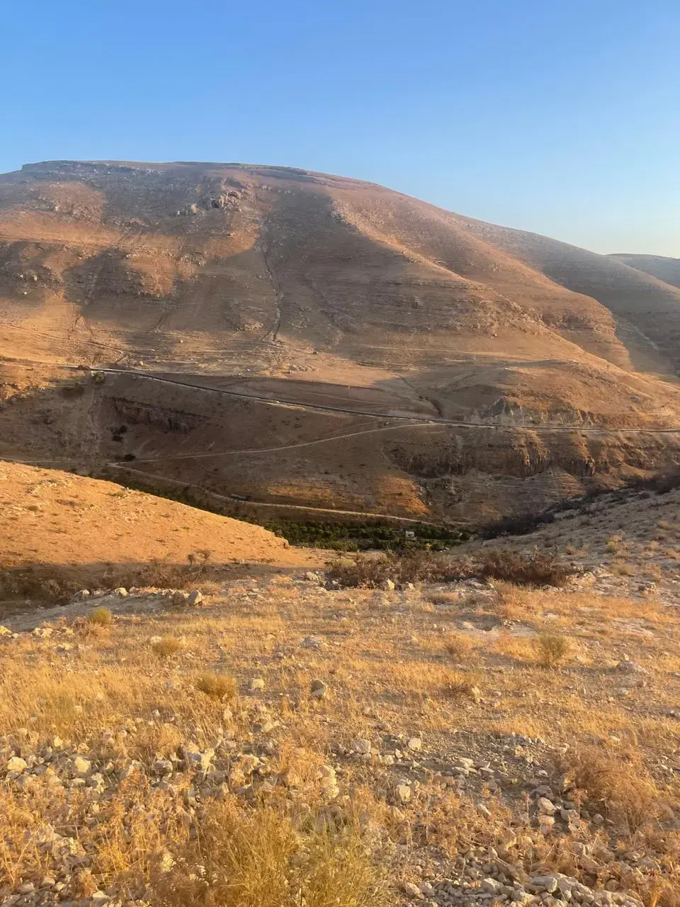 Land for sale in Bader Al Jadedeh – photo 11