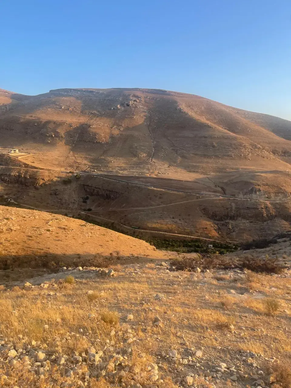 Land for sale in Bader Al Jadedeh – photo 9