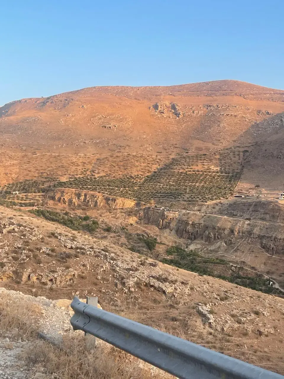 Land for sale in Bader Al Jadedeh – photo 5