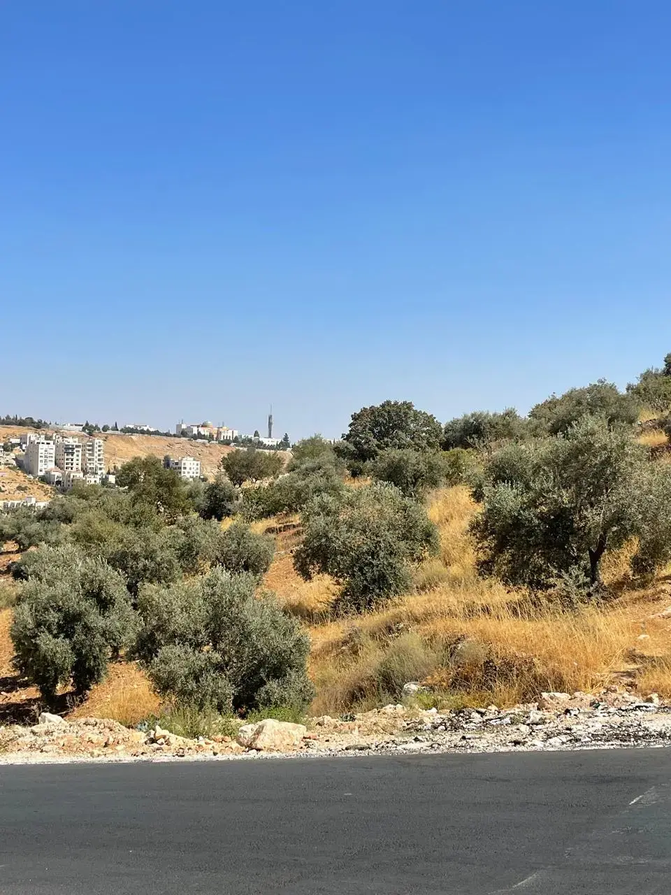 Land for sale in Dabouq – photo 6