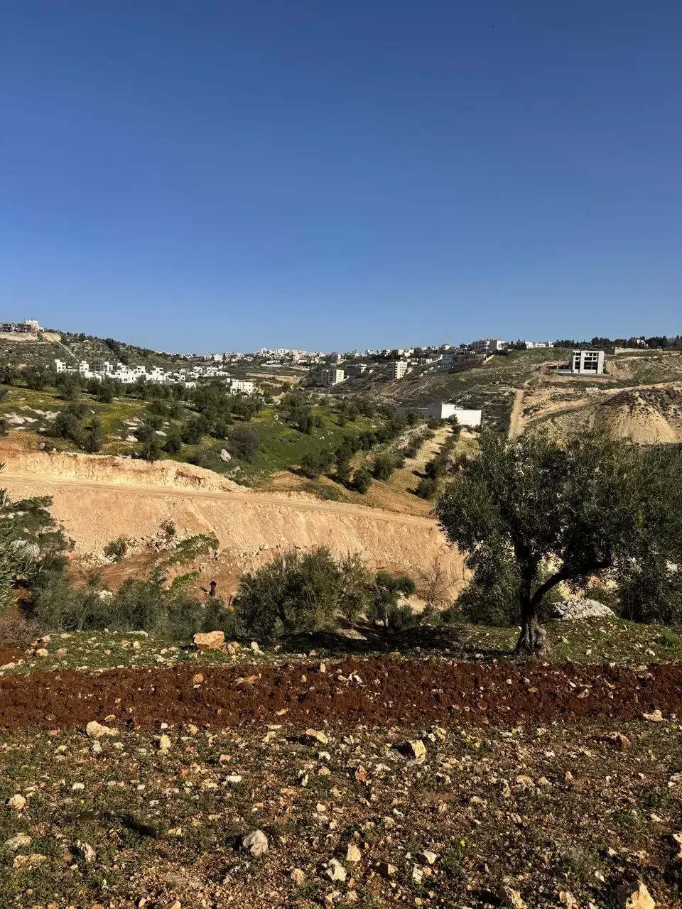 Land for sale in Dabouq – photo 15