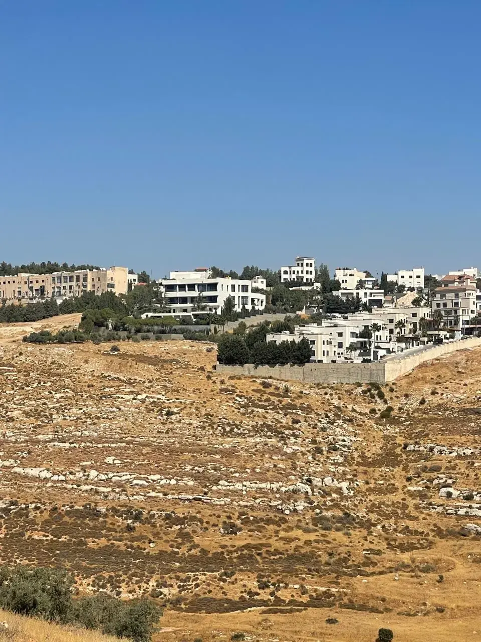 Land for sale in Dabouq – photo 19