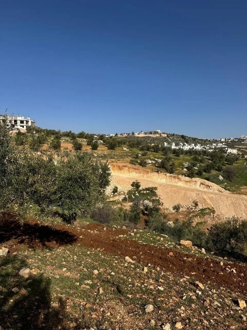 Land for sale in Dabouq – photo 10