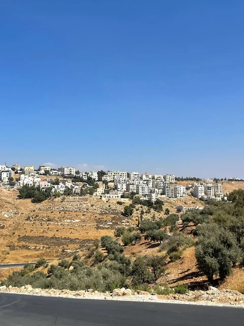 Land for sale in Dabouq – photo 4