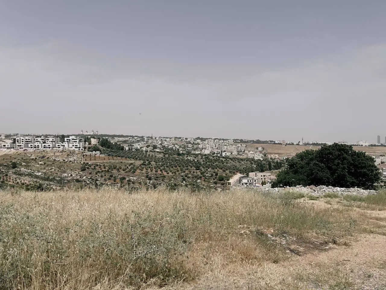 Land for sale in Dabouq – photo 2