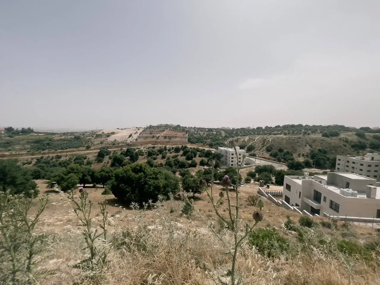 Land for sale in Dabouq – photo 10