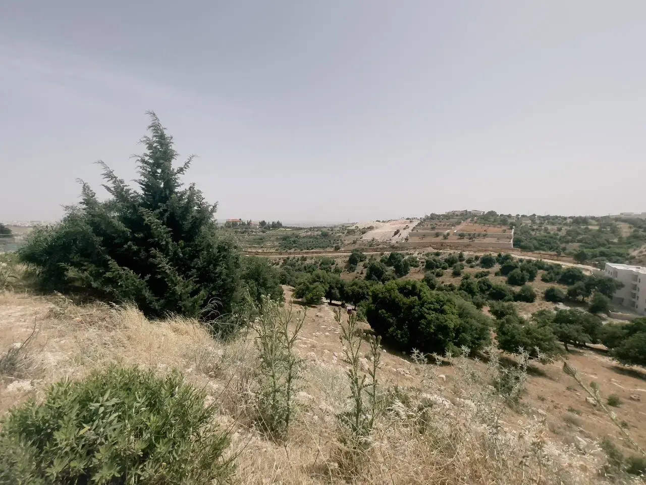 Land for sale in Dabouq – photo 8