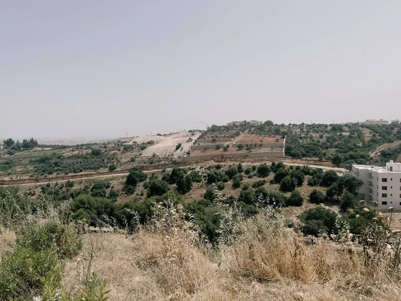 Land for sale in Dabouq – photo 12