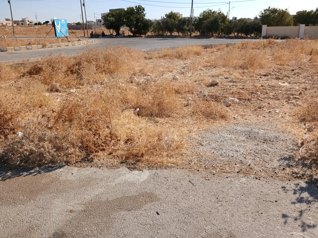 Land for sale in Husban – photo 14