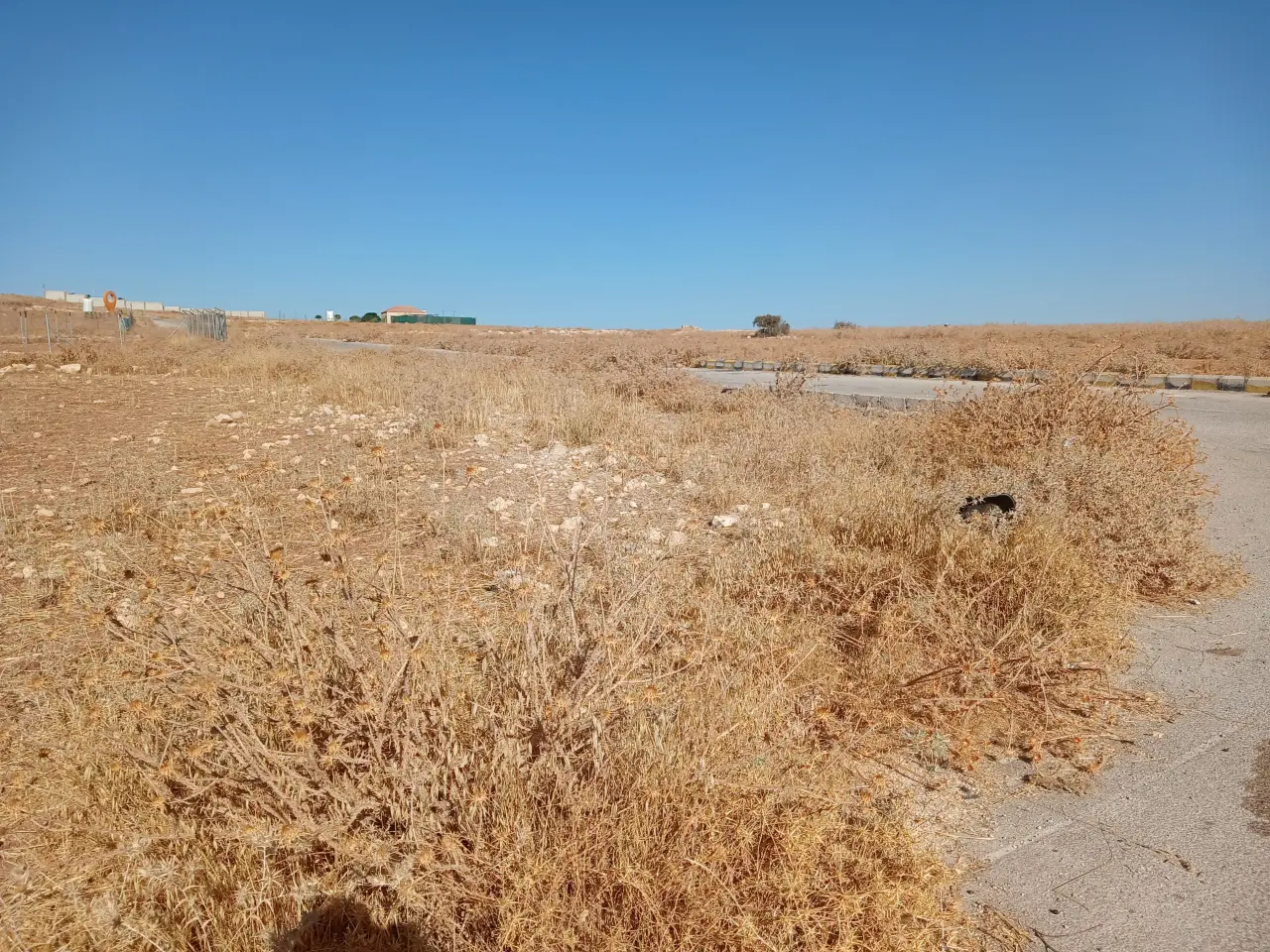 Land for sale in Husban – photo 13