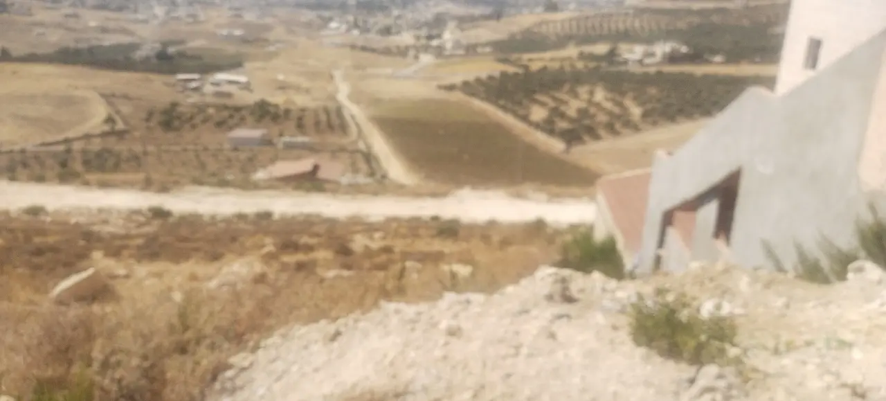 Land for sale in Safoot – photo 3
